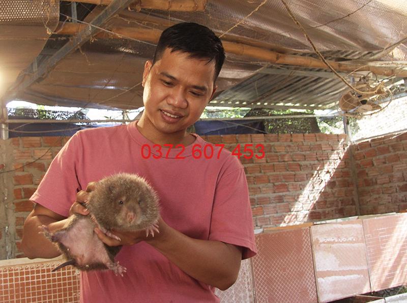 nuoi-dui quảng nam